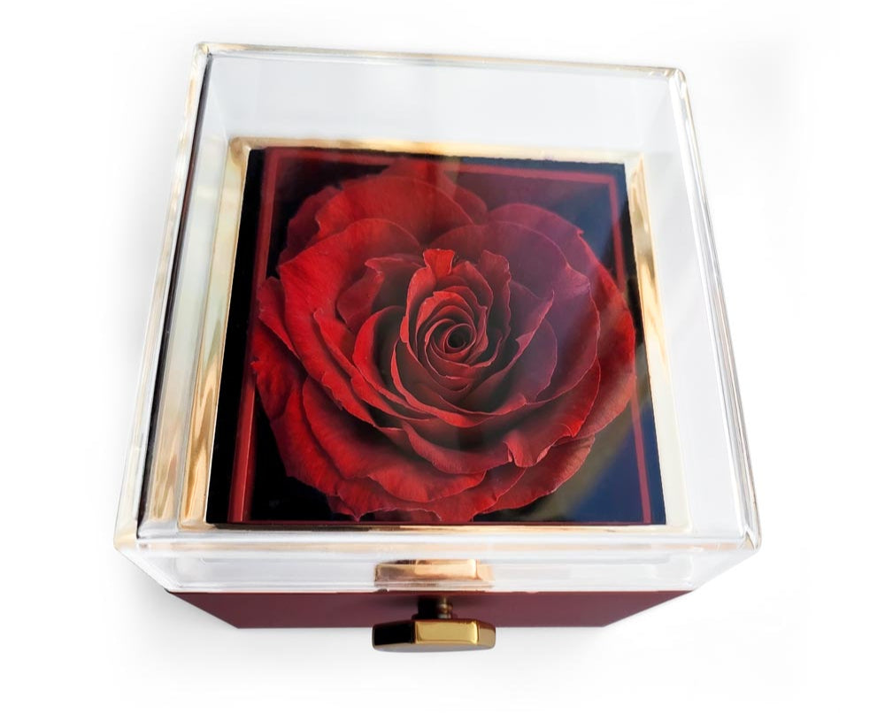 Graduation gift, Class of 2025 Love Knot Necklace with Rotating Rose Gift Box