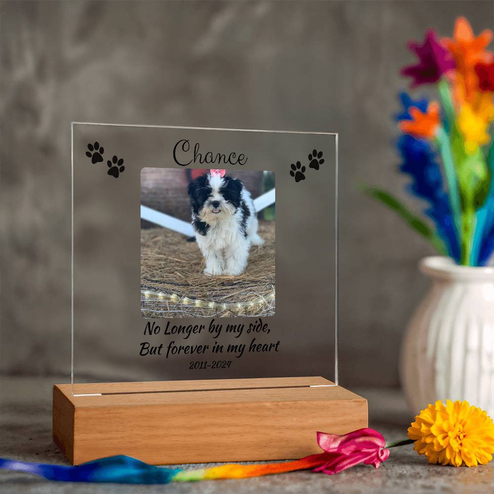 Pet Memorial Gift, Pet Memorial Keepsake, Pet Bereavement Gift, Dog Remembrance, Acrylic Nite Light