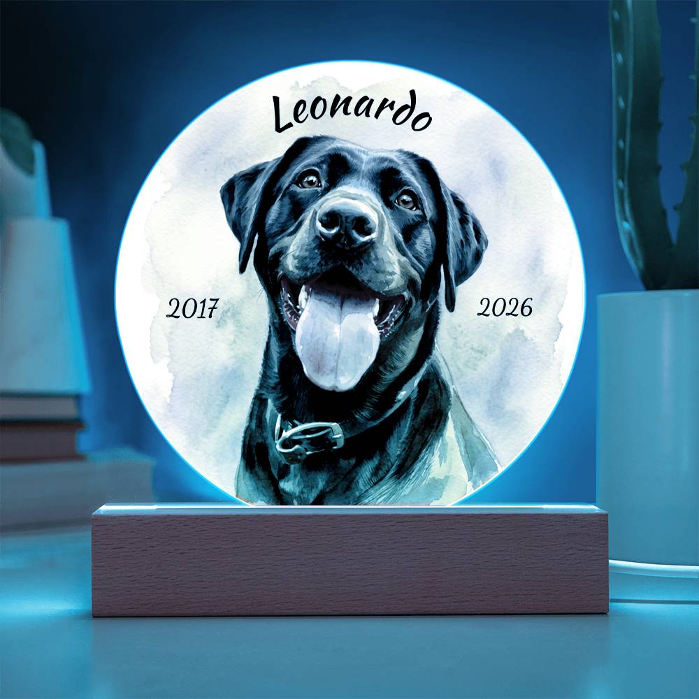 Custom Dog Portrait Sign, Personalized Pet Acrylic Light, Optional LED Pet Memorial, Custom Light for Pet Lovers