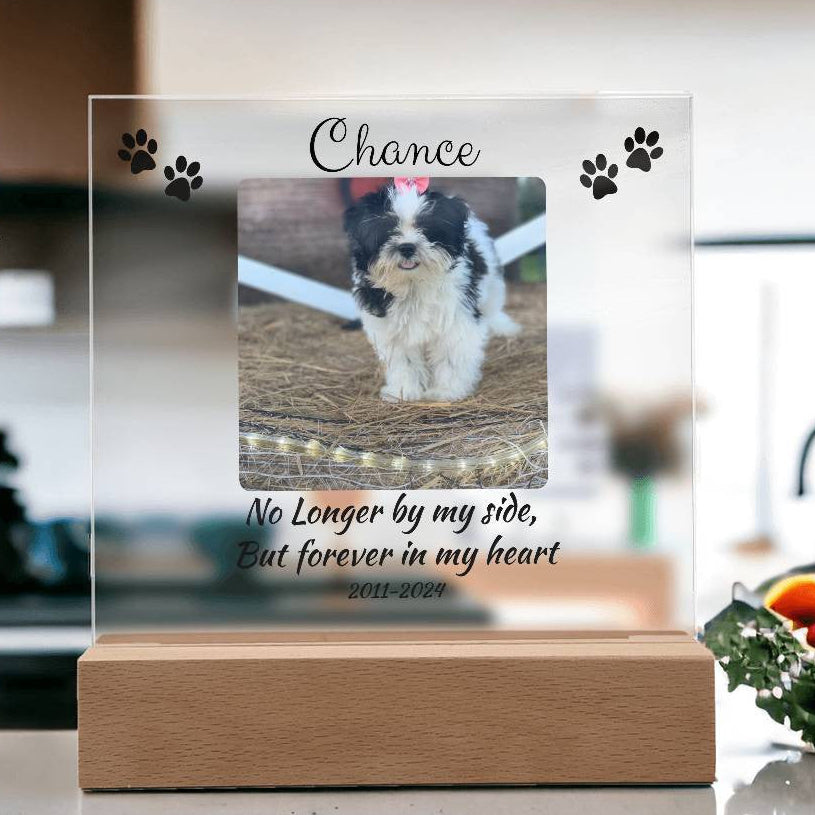 Pet Memorial Gift, Pet Memorial Keepsake, Pet Bereavement Gift, Dog Remembrance, Acrylic Nite Light
