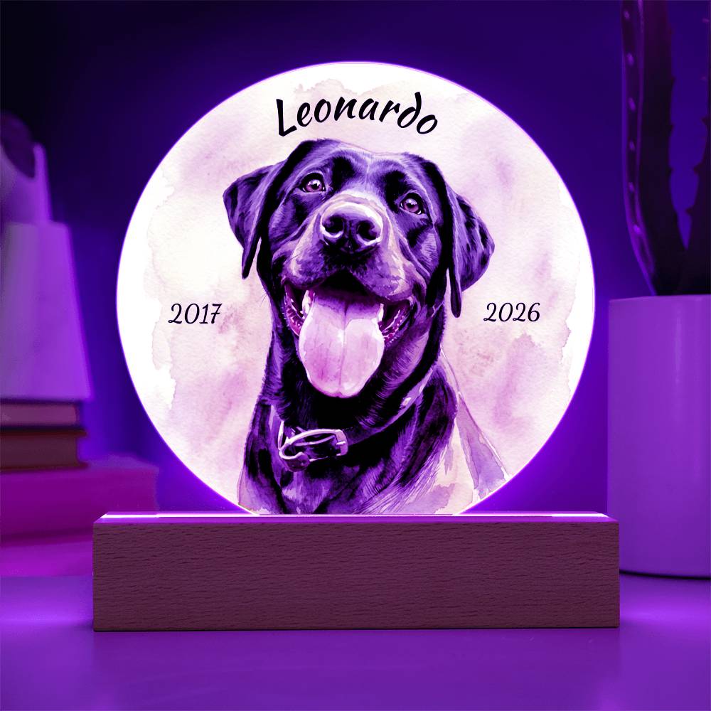 Custom Dog Portrait Sign, Personalized Pet Acrylic Light, Optional LED Pet Memorial, Custom Light for Pet Lovers