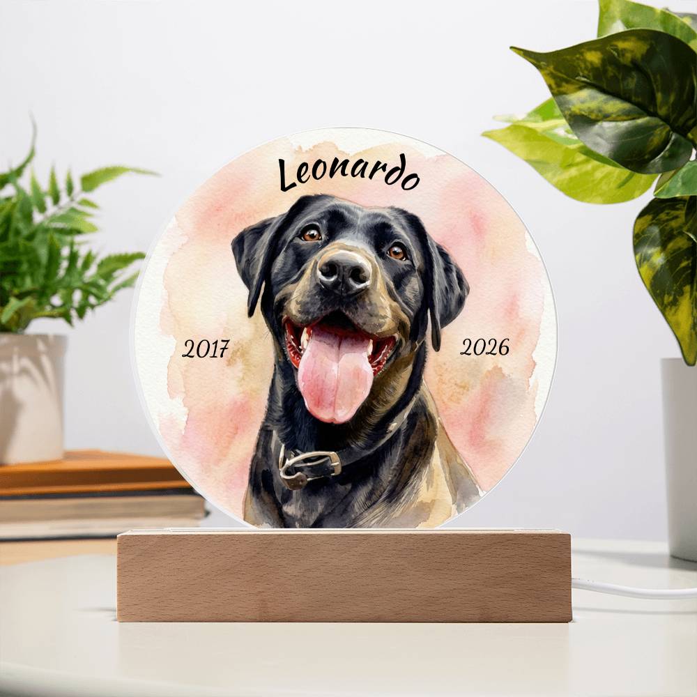 Custom Dog Portrait Sign, Personalized Pet Acrylic Light, Optional LED Pet Memorial, Custom Light for Pet Lovers