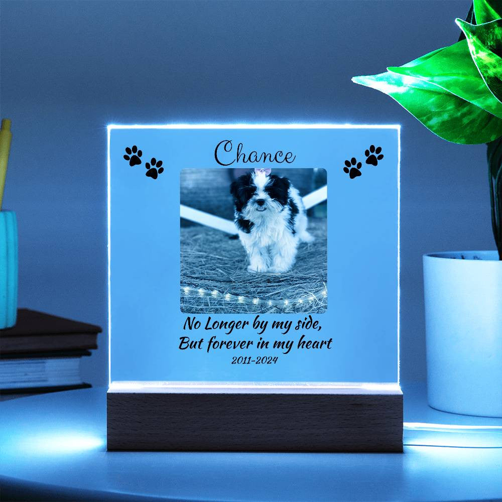 Pet Memorial Gift, Pet Memorial Keepsake, Pet Bereavement Gift, Dog Remembrance, Acrylic Nite Light