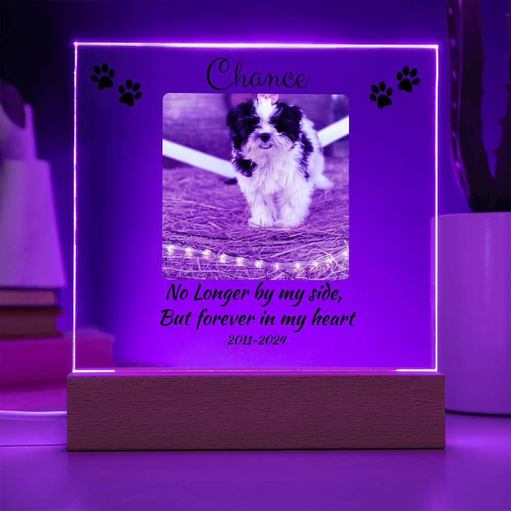 Pet Memorial Gift, Pet Memorial Keepsake, Pet Bereavement Gift, Dog Remembrance, Acrylic Nite Light