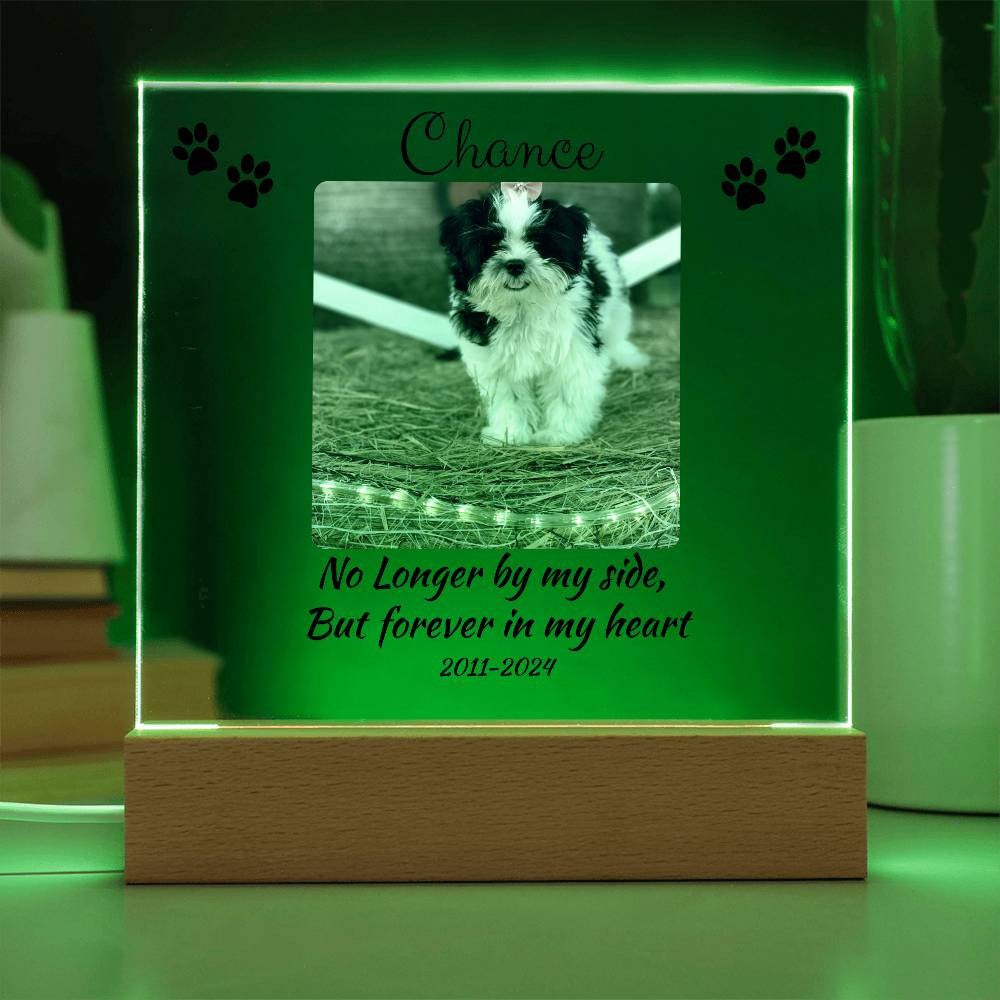 Pet Memorial Gift, Pet Memorial Keepsake, Pet Bereavement Gift, Dog Remembrance, Acrylic Nite Light
