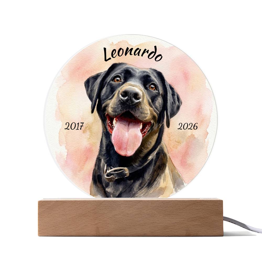 Custom Dog Portrait Sign, Personalized Pet Acrylic Light, Optional LED Pet Memorial, Custom Light for Pet Lovers