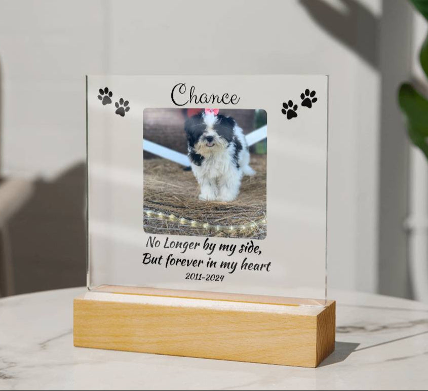 Pet Memorial Gift, Pet Memorial Keepsake, Pet Bereavement Gift, Dog Remembrance, Acrylic Nite Light
