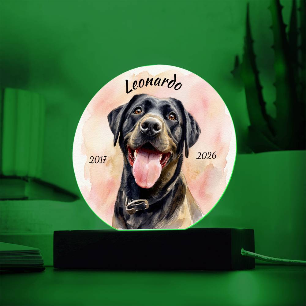 Custom Dog Portrait Sign, Personalized Pet Acrylic Light, Optional LED Pet Memorial, Custom Light for Pet Lovers