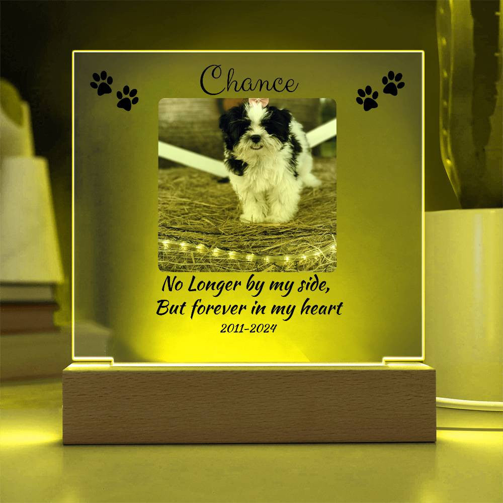Pet Memorial Gift, Pet Memorial Keepsake, Pet Bereavement Gift, Dog Remembrance, Acrylic Nite Light