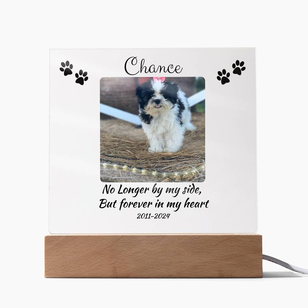 Pet Memorial Gift, Pet Memorial Keepsake, Pet Bereavement Gift, Dog Remembrance, Acrylic Nite Light