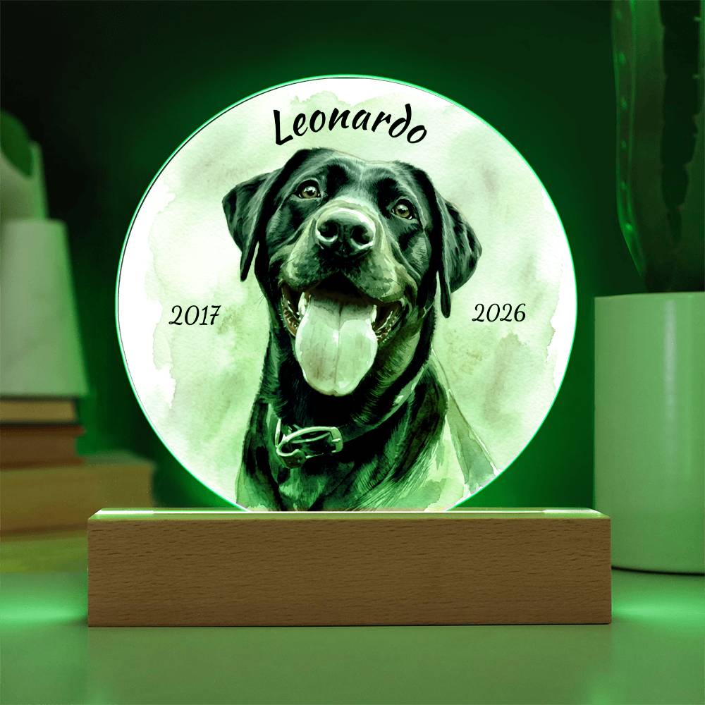 Custom Dog Portrait Sign, Personalized Pet Acrylic Light, Optional LED Pet Memorial, Custom Light for Pet Lovers
