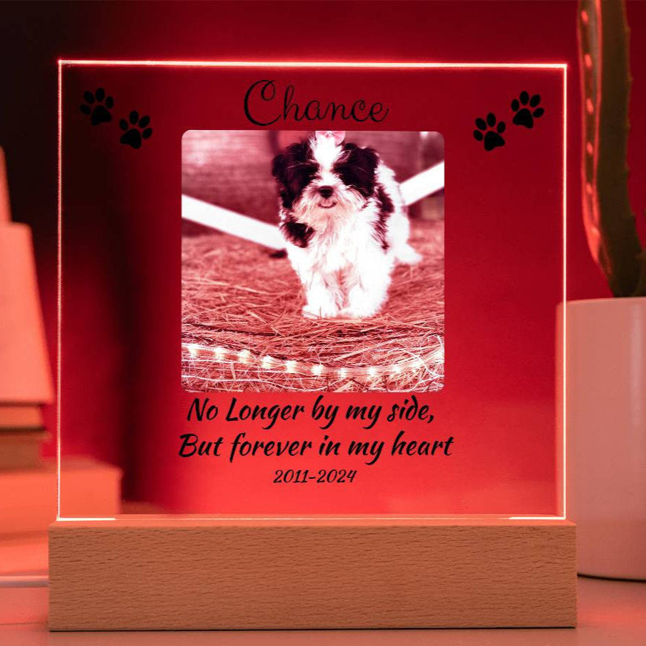Pet Memorial Gift, Pet Memorial Keepsake, Pet Bereavement Gift, Dog Remembrance, Acrylic Nite Light