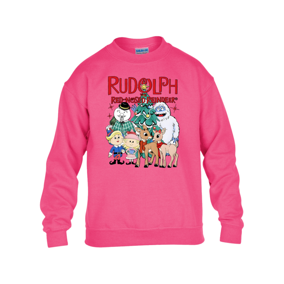 Rudolph the Red Nose Reindeer Christmas Youth Pullover Shirt!