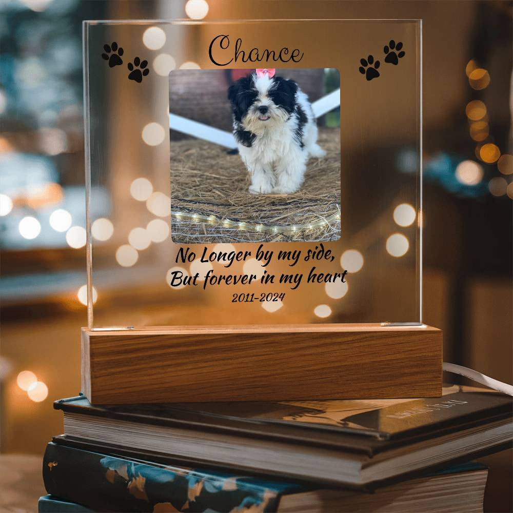 Pet Memorial Gift, Pet Memorial Keepsake, Pet Bereavement Gift, Dog Remembrance, Acrylic Nite Light