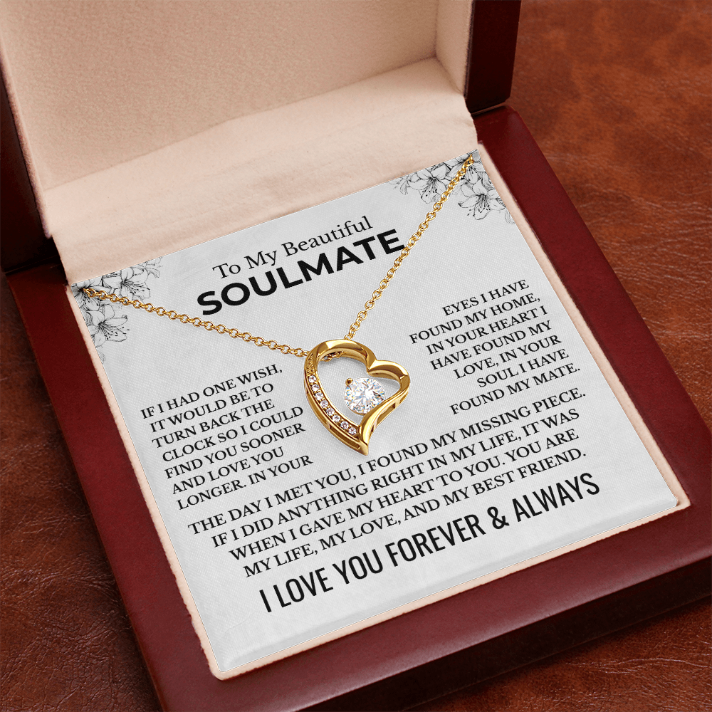 To My Beautiful Soulmate "The Day I Met You" Forever Love Necklace