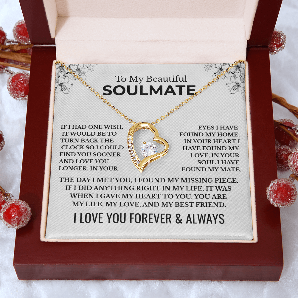 To My Beautiful Soulmate "The Day I Met You" Forever Love Necklace