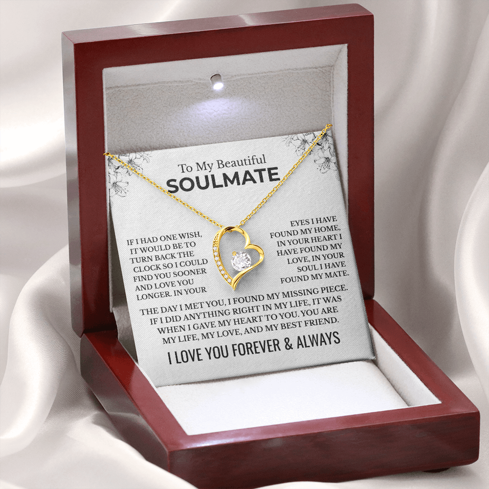 To My Beautiful Soulmate "The Day I Met You" Forever Love Necklace