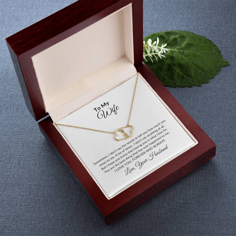 To my Wife "How much you mean to me" Everlasting Love Necklace