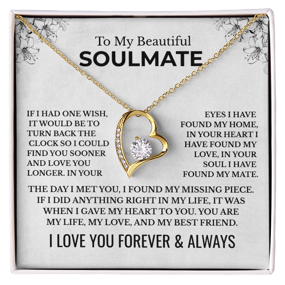 To My Beautiful Soulmate "The Day I Met You" Forever Love Necklace