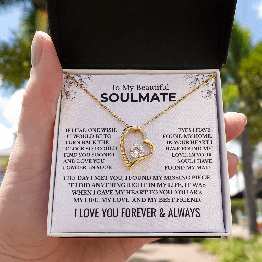 To My Beautiful Soulmate "The Day I Met You" Forever Love Necklace