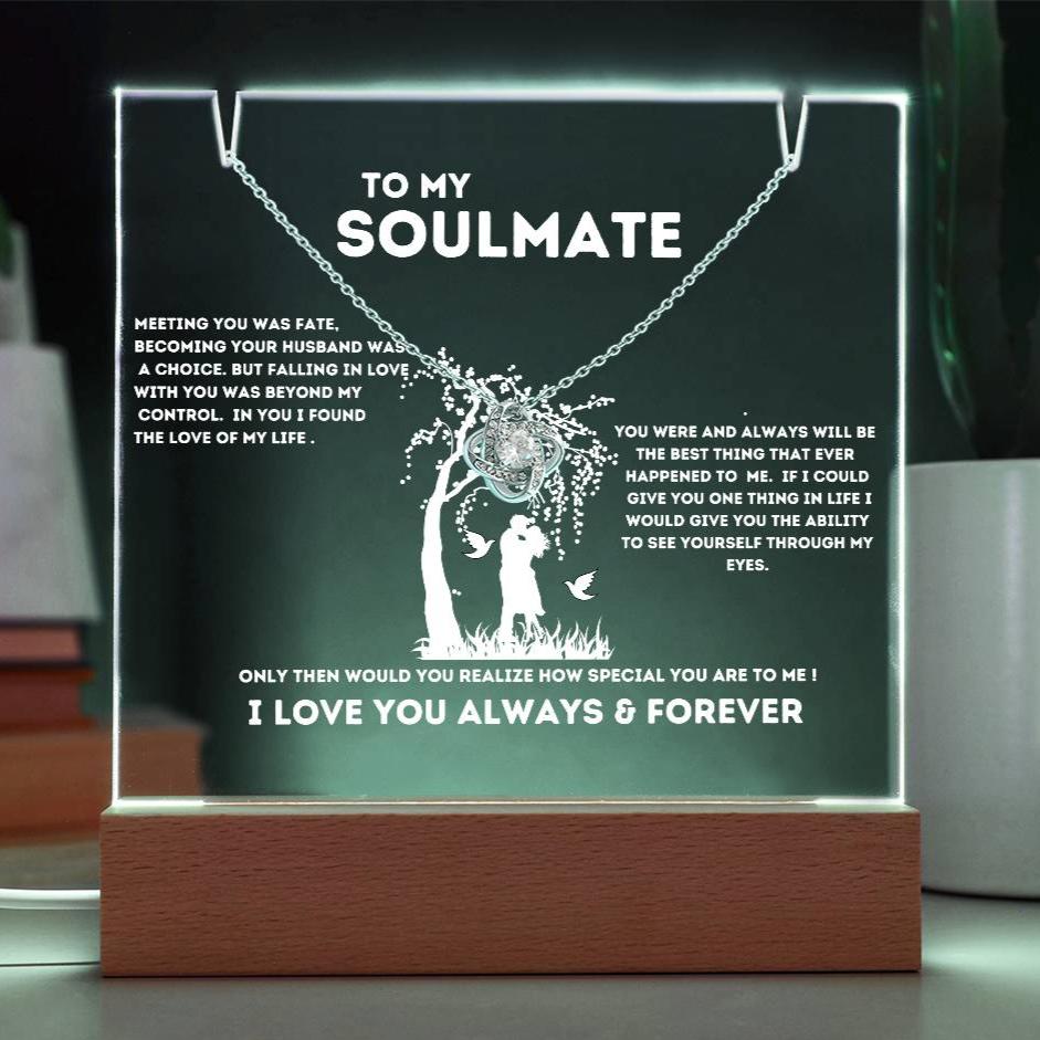 To My Soulmate "Meeting You Was Fate" Keepsake Nite Light Acrylic Plaque with the Beautiful Love Knot Necklace!