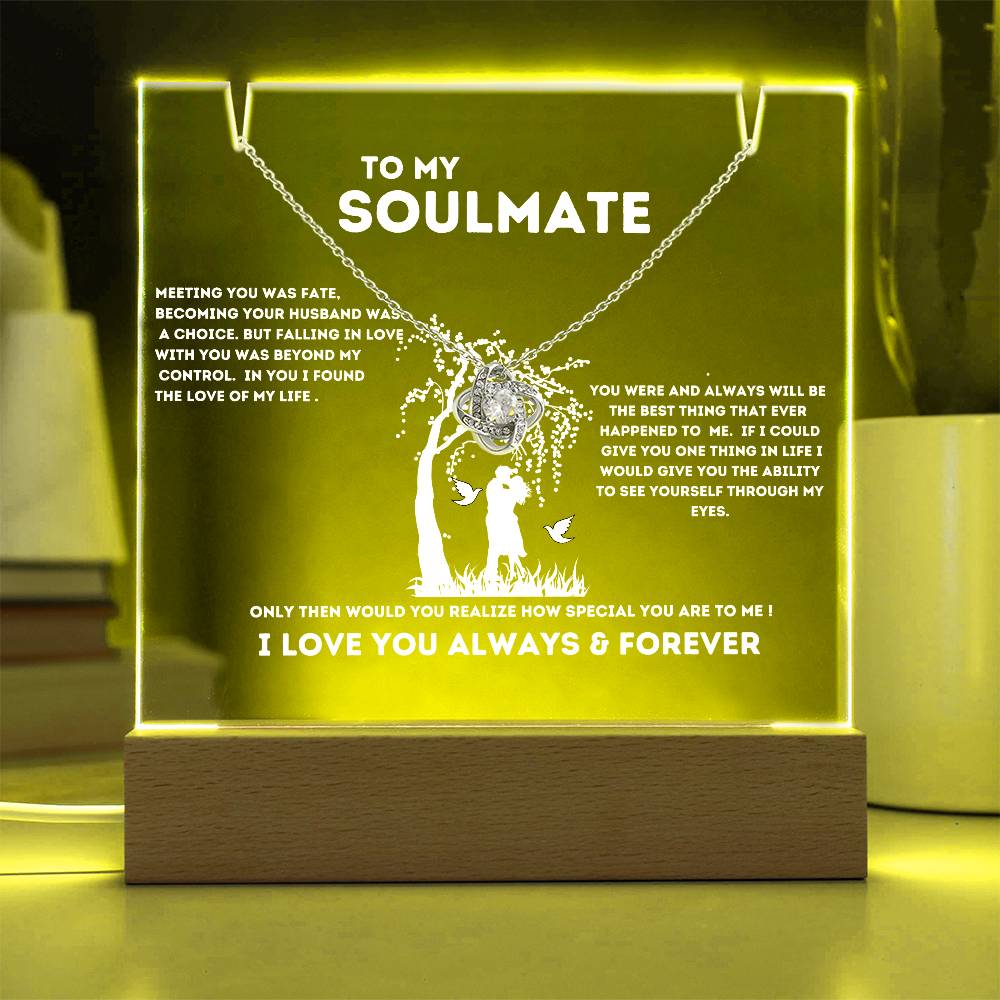 To My Soulmate "Meeting You Was Fate" Keepsake Nite Light Acrylic Plaque with the Beautiful Love Knot Necklace!