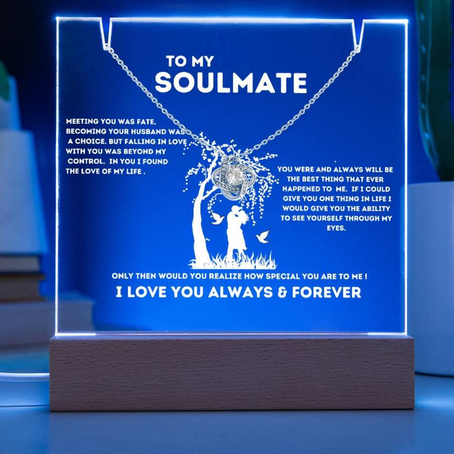 To My Soulmate "Meeting You Was Fate" Keepsake Nite Light Acrylic Plaque with the Beautiful Love Knot Necklace!