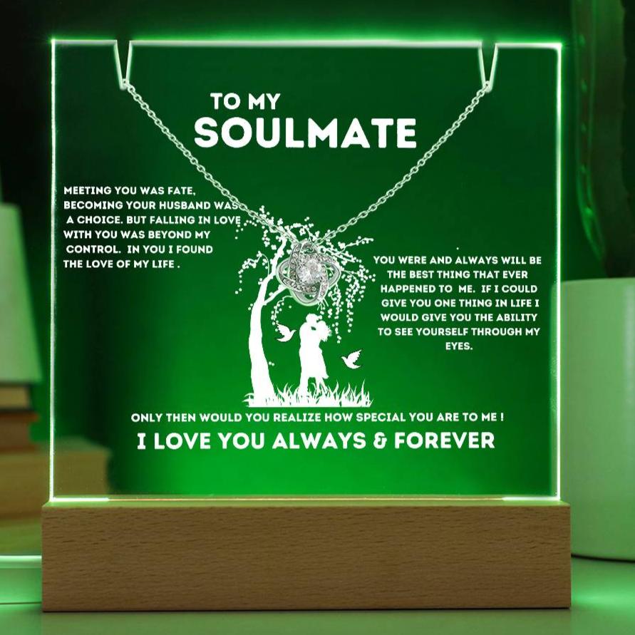 To My Soulmate "Meeting You Was Fate" Keepsake Nite Light Acrylic Plaque with the Beautiful Love Knot Necklace!