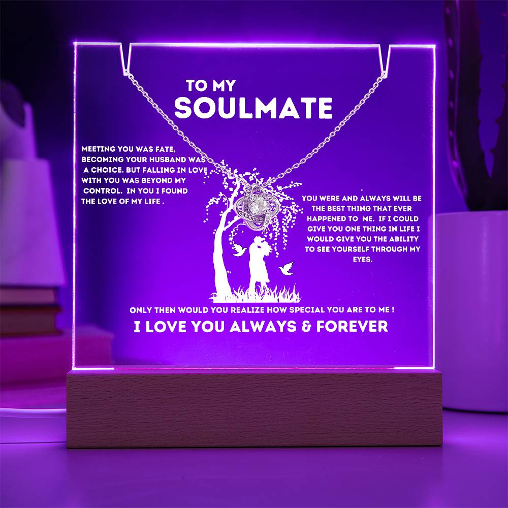 To My Soulmate "Meeting You Was Fate" Keepsake Nite Light Acrylic Plaque with the Beautiful Love Knot Necklace!