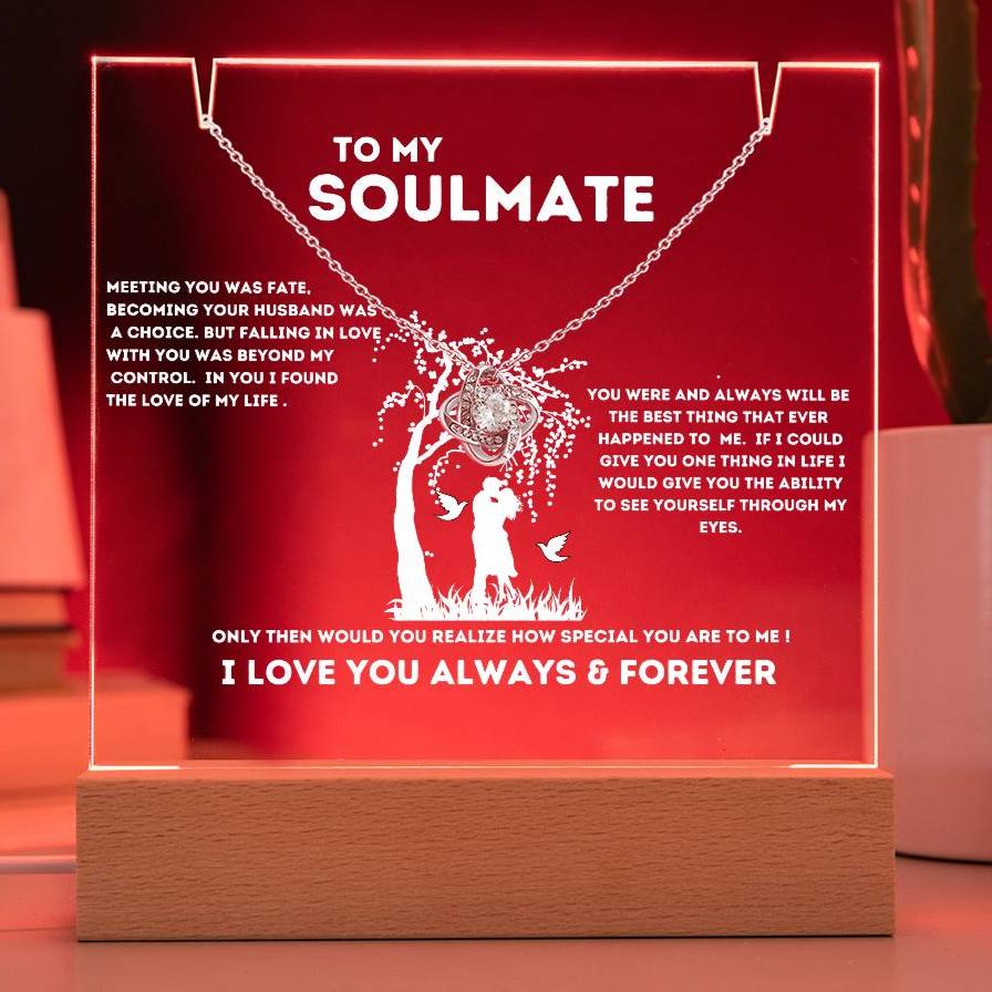 To My Soulmate "Meeting You Was Fate" Keepsake Nite Light Acrylic Plaque with the Beautiful Love Knot Necklace!