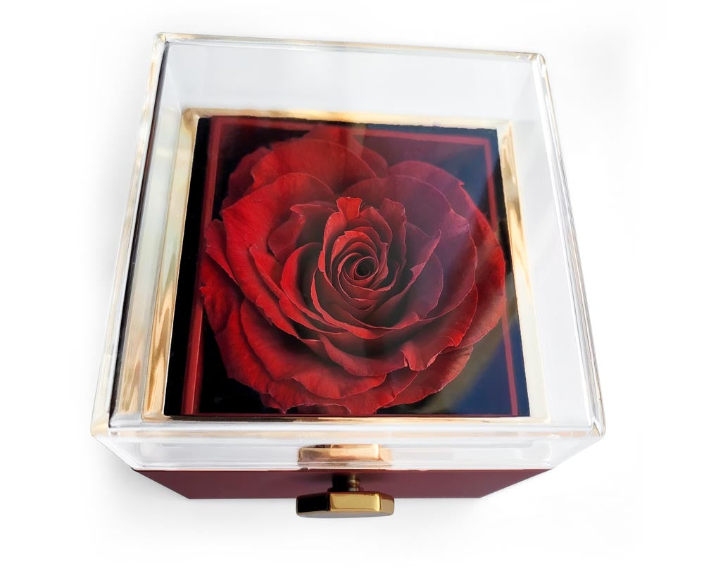 To Mom "I'll Always Be Your Little Boy" Happy Mother's Day Love Knot Necklace w/rotating rose gift box