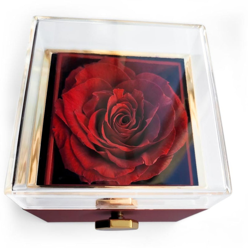 To Mom "Thanks for the Life Lessons" Happy Mother's Day Love Knot Necklace w/rotating rose gift box