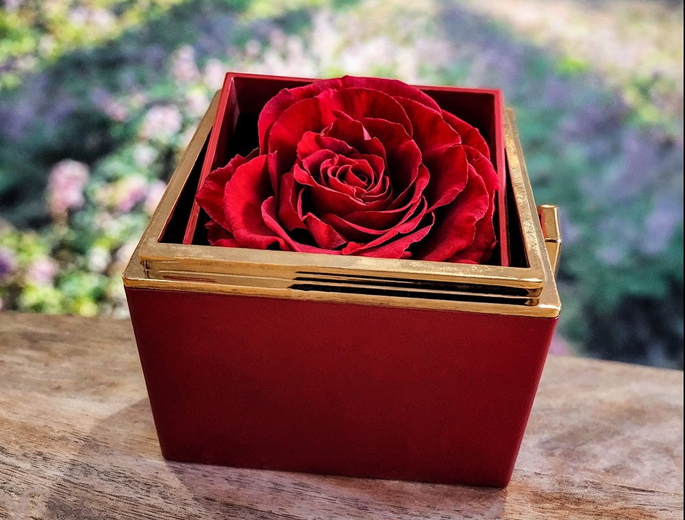 To Mom "I'll Always Be Your Little Boy" Happy Mother's Day Love Knot Necklace w/rotating rose gift box