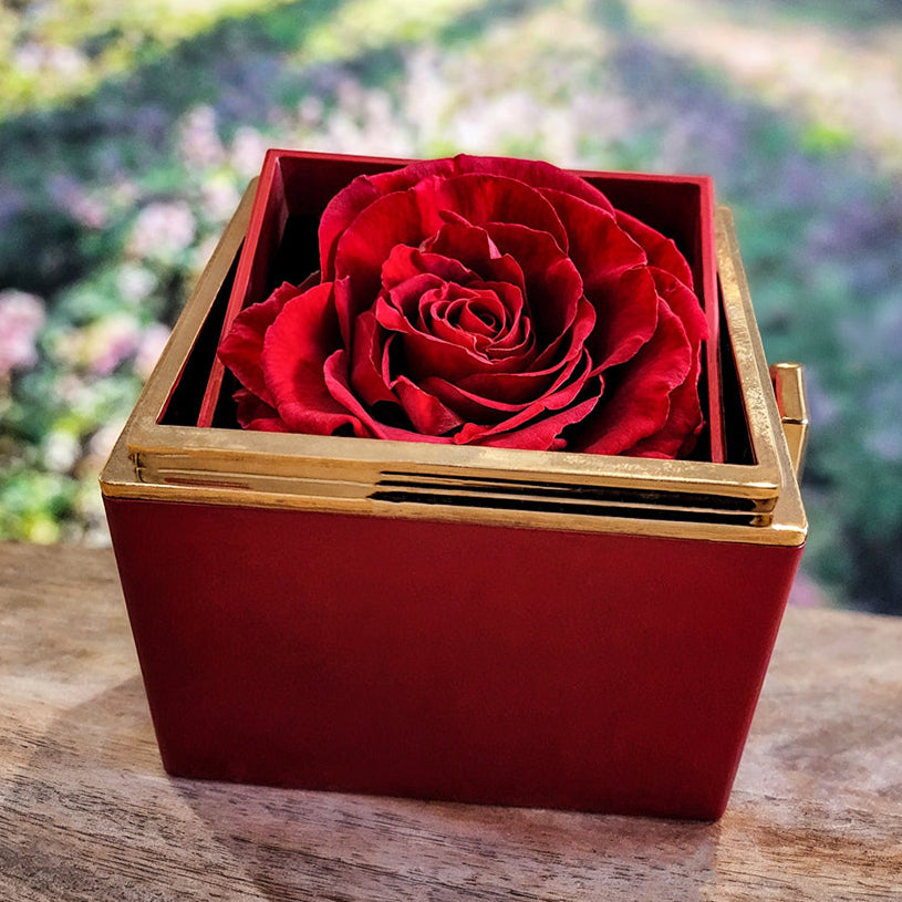 To Mom "Thanks for the Life Lessons" Happy Mother's Day Love Knot Necklace w/rotating rose gift box