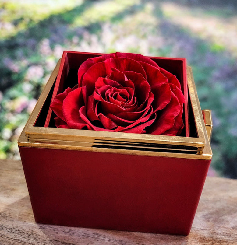 To My Amazing Mom "I Love You with all my Heart" Love Knot Necklace with rotating rose gift box.