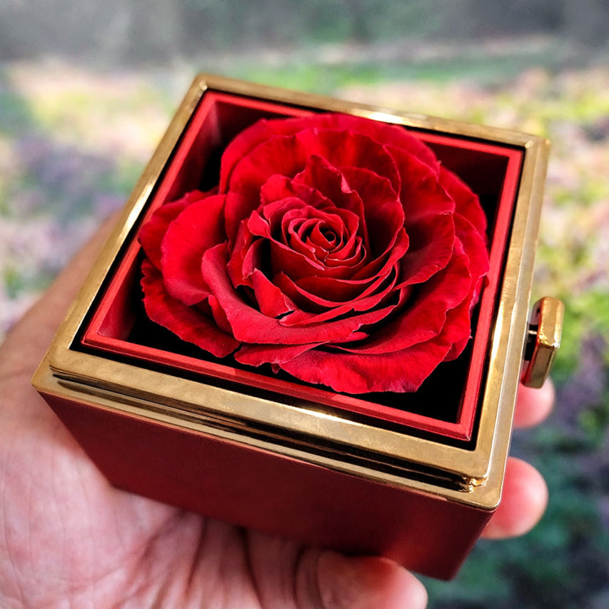 To Mom "Thanks for the Life Lessons" Happy Mother's Day Love Knot Necklace w/rotating rose gift box