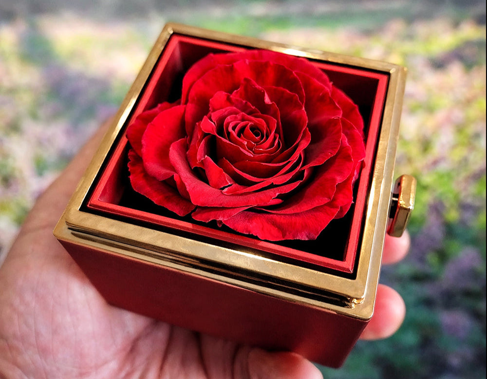 To Mom "I'll Always Be Your Little Boy" Happy Mother's Day Love Knot Necklace w/rotating rose gift box