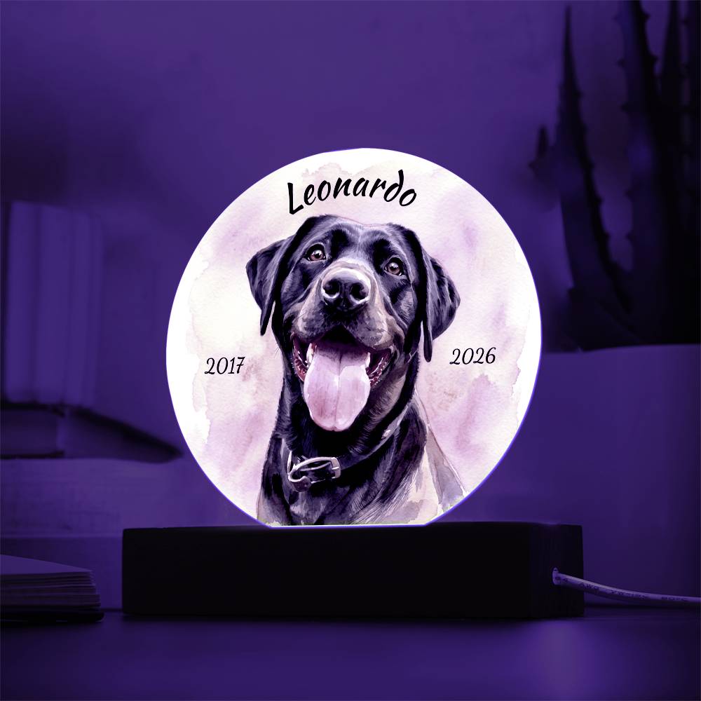 Custom Dog Portrait Sign, Personalized Pet Acrylic Light, Optional LED Pet Memorial, Custom Light for Pet Lovers