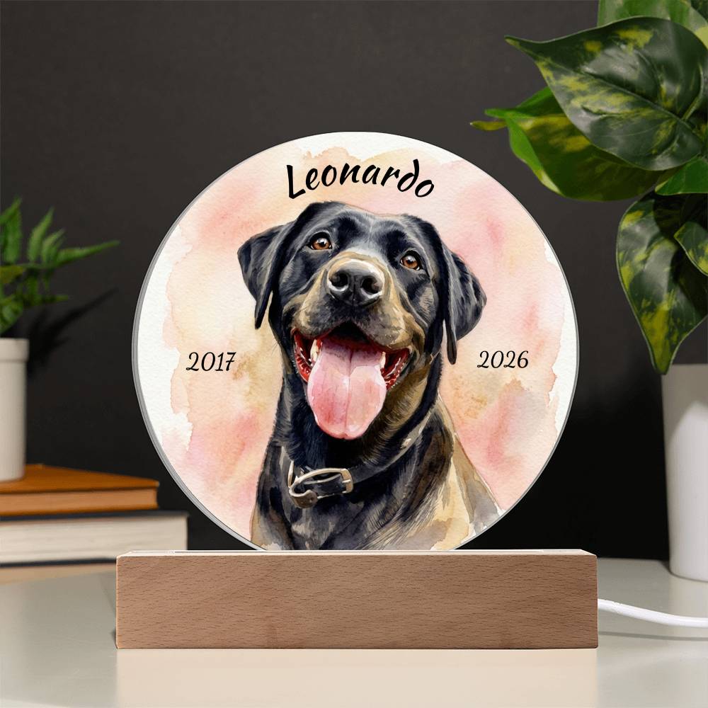 Custom Dog Portrait Sign, Personalized Pet Acrylic Light, Optional LED Pet Memorial, Custom Light for Pet Lovers