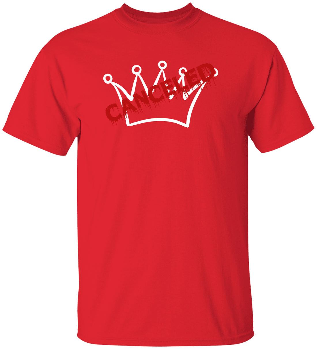 Pro Democracy No More Kings Shirt, 4th of July, American Protest Tee