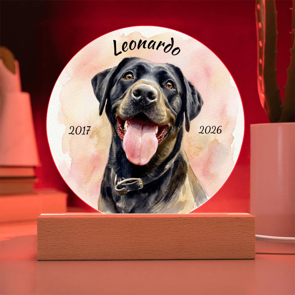 Custom Dog Portrait Sign, Personalized Pet Acrylic Light, Optional LED Pet Memorial, Custom Light for Pet Lovers