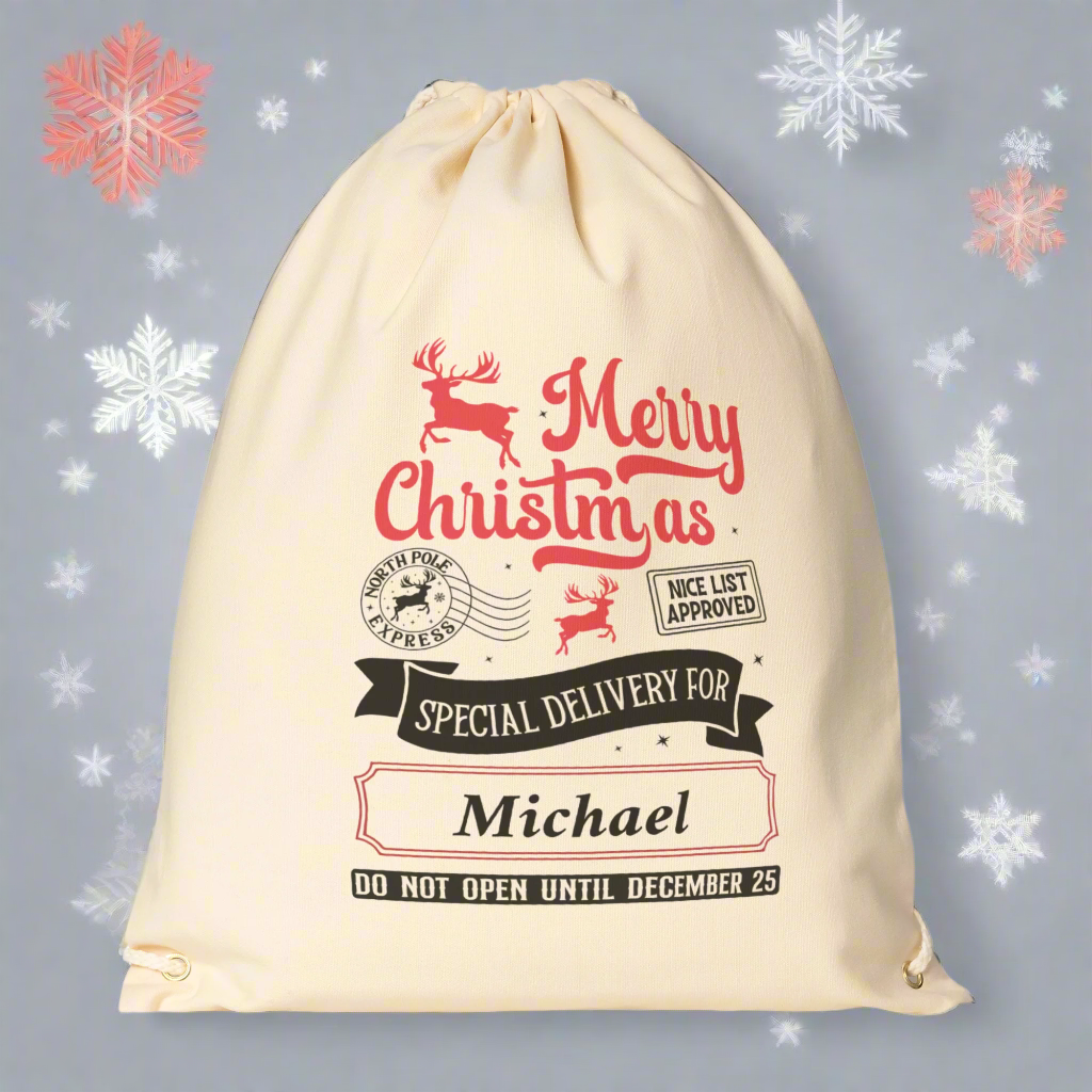 Personalize Christmas Santa "Naughty/Nice" Special Delivery Drawstring Backpack!